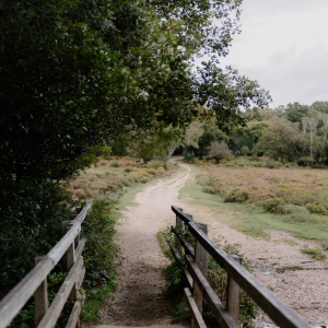 imagen_2025-10-17_125501257